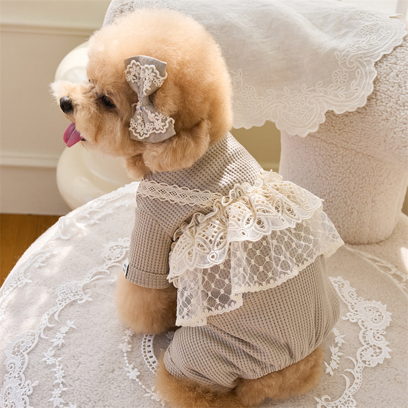 Pet Spring Jumpsuit Cute Lace  - огляд і ціна Lace Teddy Lingerie