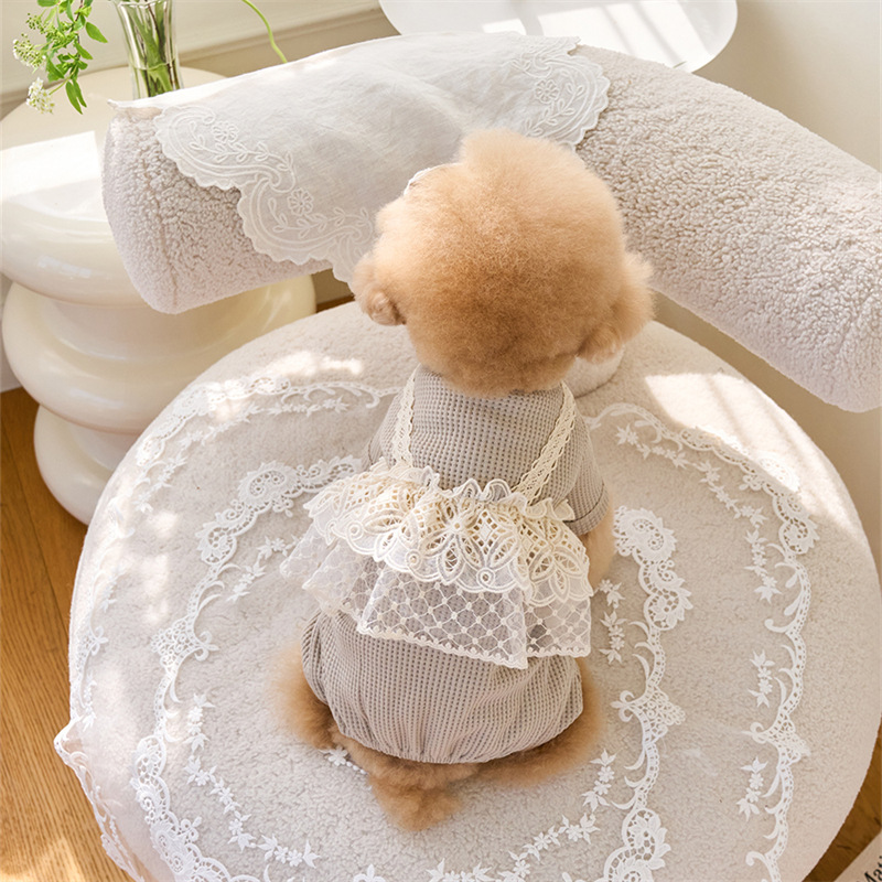 Pet Spring Jumpsuit Cute Lace  - огляд і ціна Lace Teddy Lingerie