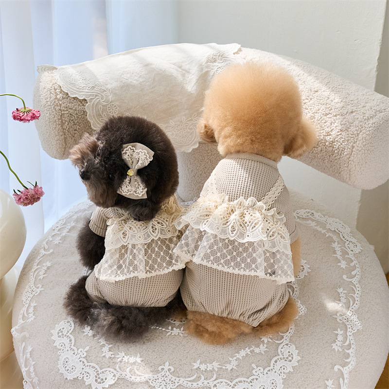 Pet Spring Jumpsuit Cute Lace  - огляд і ціна Lace Teddy Lingerie