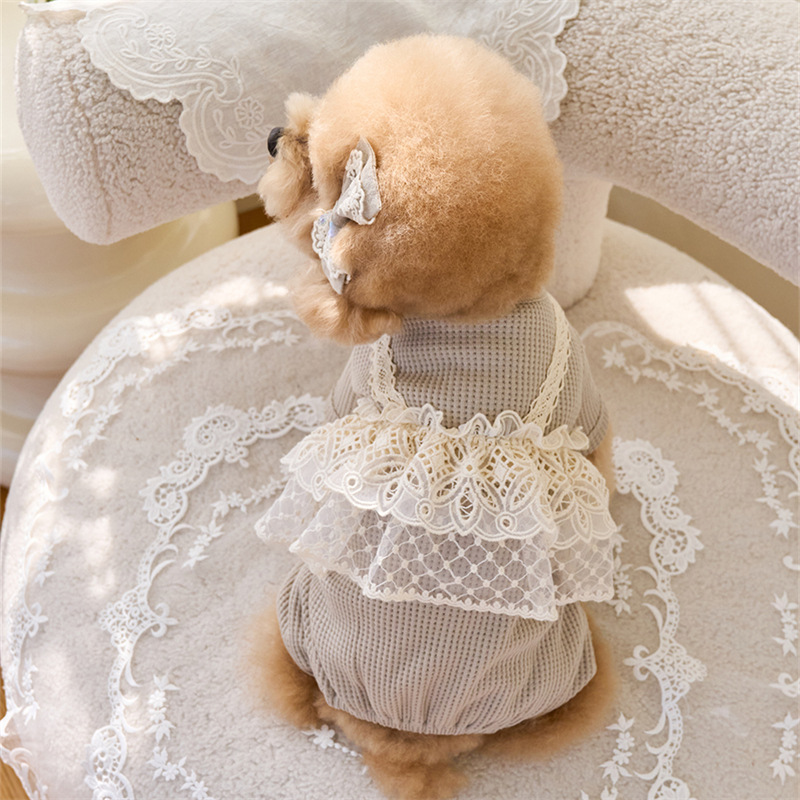 Pet Spring Jumpsuit Cute Lace  - огляд і ціна Lace Teddy Lingerie